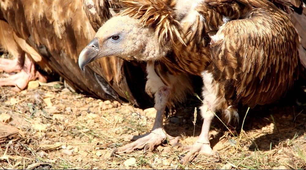 �|Ŀ�@���������ƫ@�ش�Ƿ��C�����F���lΣҰ�����ﰸ