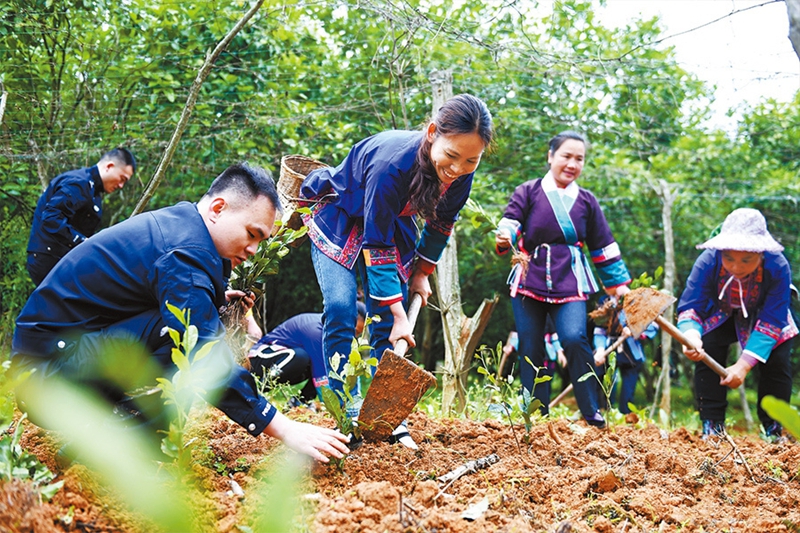 �����¸���