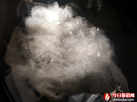 �������e�h���z���ӳ�ҹɫ͵���~ �]���¾W���M�˹�����31.png