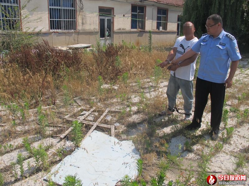  ���h�й����ֶྯ���ƫ@ϵ�бI�`ʯ�ďS��Ʒ��