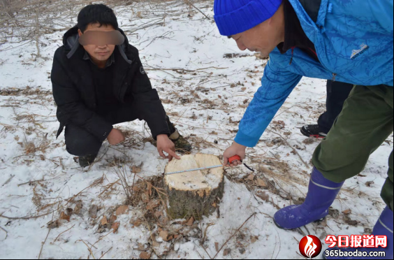 �������־�ɭ�ɴ�꠿����ƫ@һ��I����ľ����