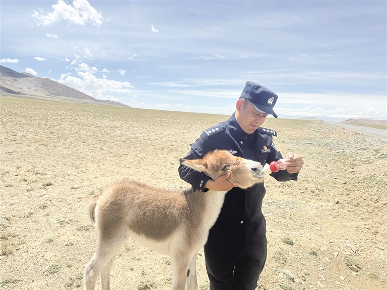 ů�ģ����_�h�����ֳɹ�����һֻ����һ�����o����