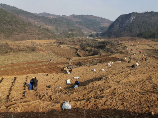 �����顢������   ��˾���ַ�ؚ����ꠃɲ��`483.png