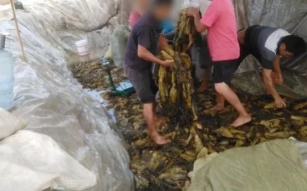 �ω����������I��ͣ�� �B������˘I�����ˆT���������ИI�ǜ��֮��