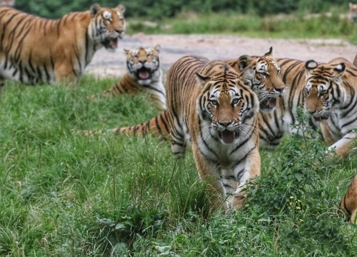 �Ї���ʽ�O(sh��)���������ҹ��@