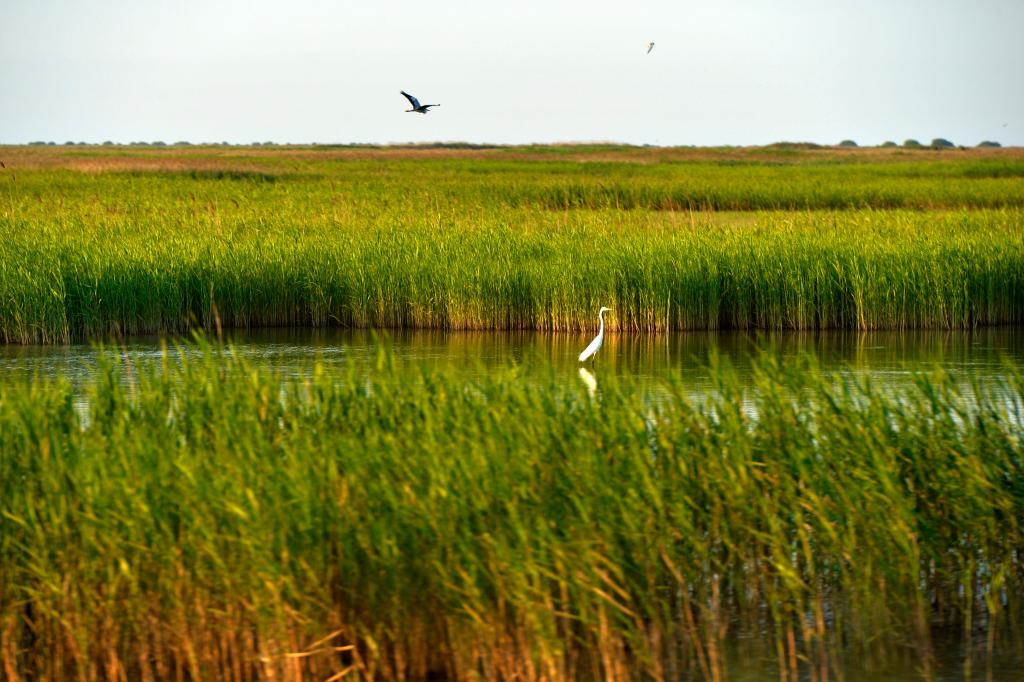 ���A�h�����o��2024��ӛ����ӛ�����֮�޵����B�S׃