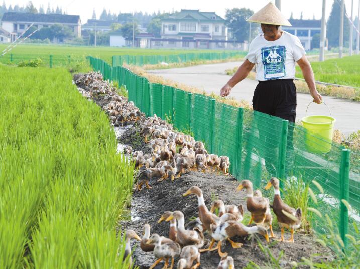 ���K̫�}�_����������������ģʽ ���B�N�BЧ���