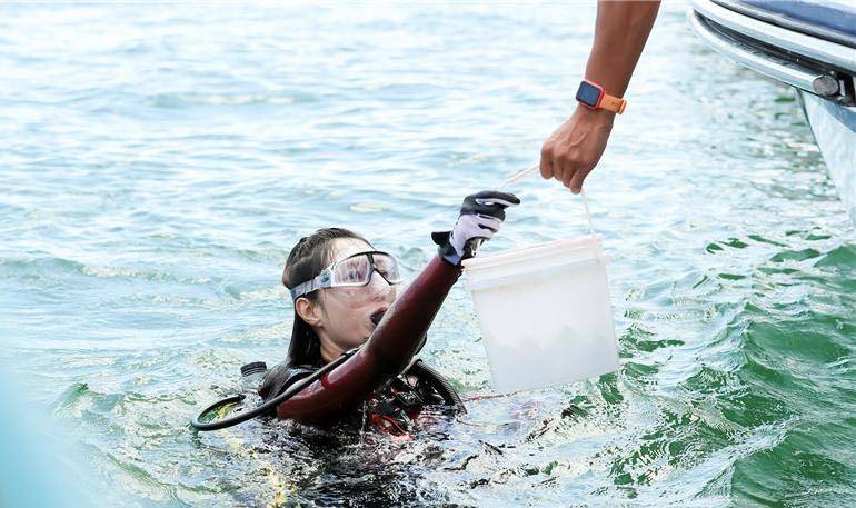 �׌�ȫ��ɺ�������چ��ӣ�500���J�B(y��ng)ɺ���N��N�����i����