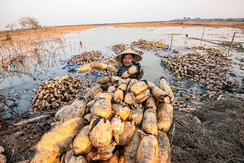 �����¸ɣ����յ��ݵ� ���ա��ی��衱