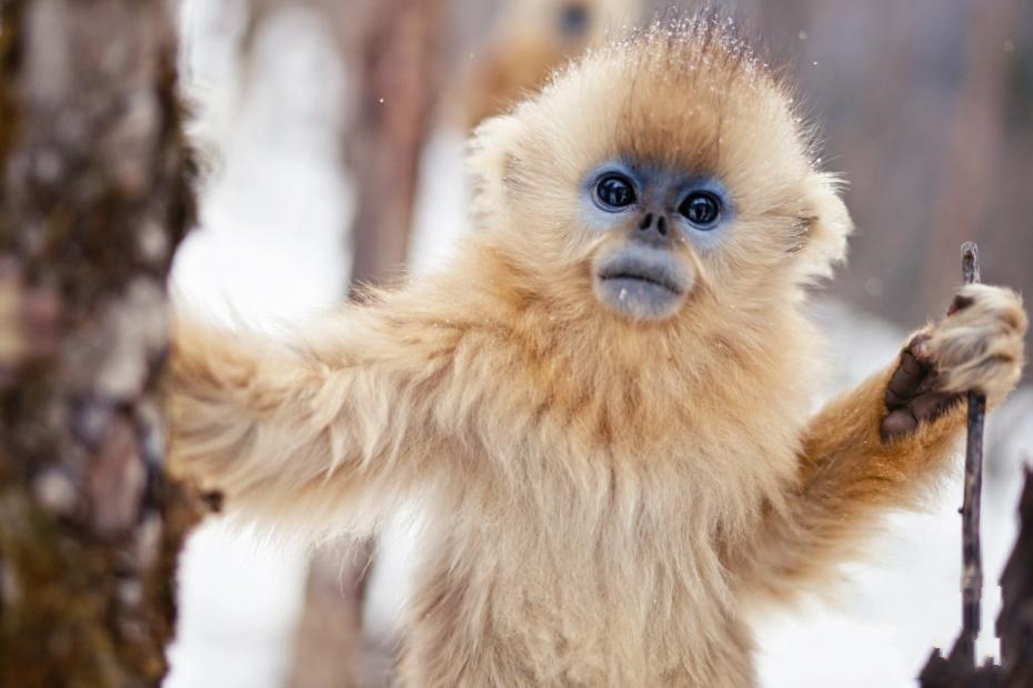 �������r�ܣ�ѩ�н�z���ȑBʮ�����ː�