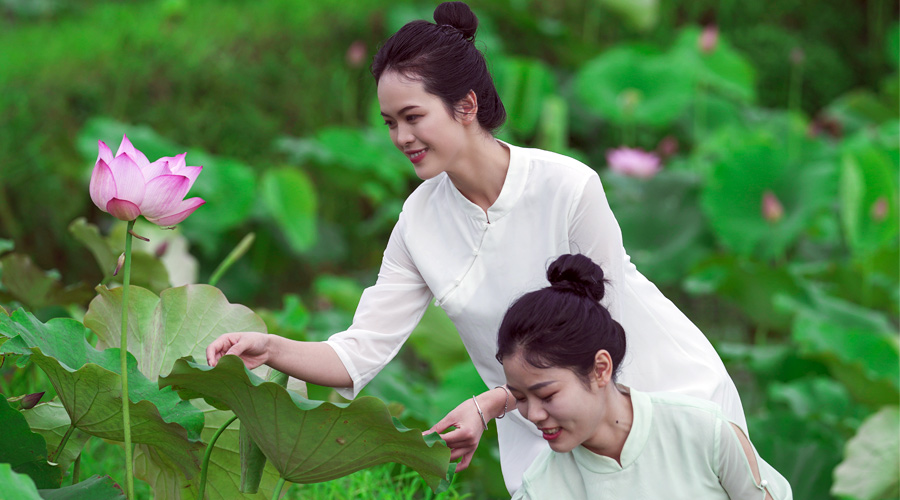 ��������ǧ��ƺ������ɏ�����J�C�顰������������ɏ����