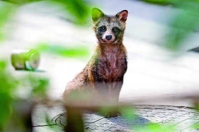 ��������������L�����Ї�