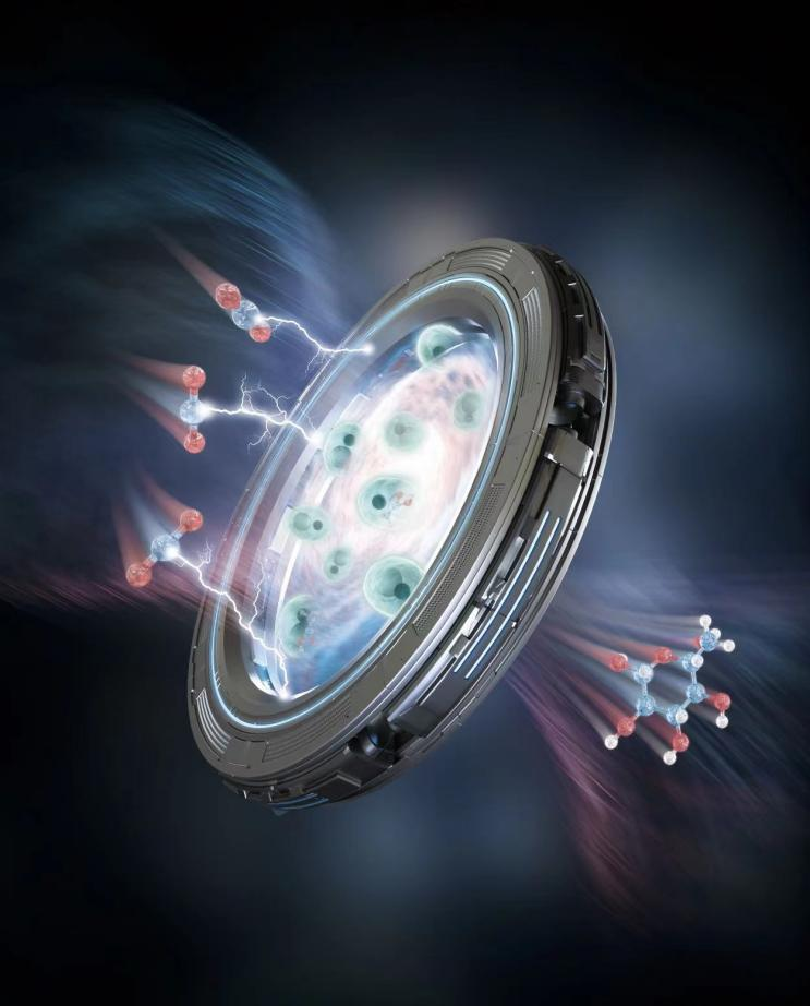 ׃�U�錚���҇��ƌW�Ҍ��F������̼�ϳ�������