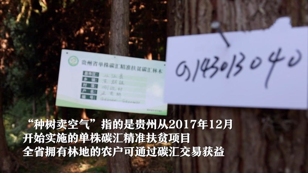 ���N���u�՚⡱�����Ї�����ɽ�^���������B��׃������������