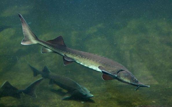 ���C�\�~�������ˡ���