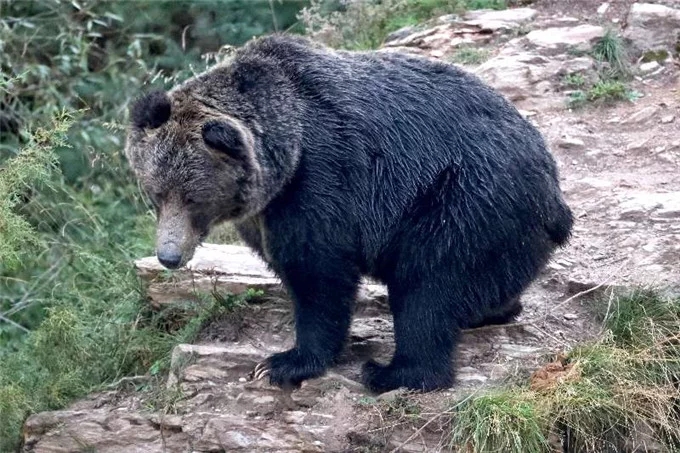 �״Σ�����Ұ������������Դ�؅^�l�F��Ҋ������