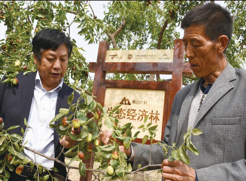 ���t�����|��Ч�Ŀ��������