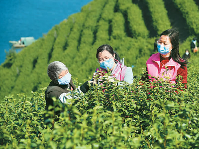 �㽭���� ���������š��o�{�Gɫ�lչ