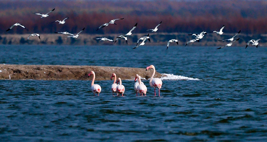 ɽ���\�ǣ������B�B�m�����}��Խ��