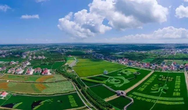 2020 ���Ї�������悡����γ��t�������@�ɂ����Ó�f����