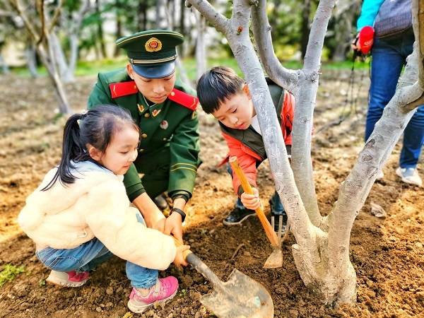 ֲ�九(ji��)���� ����ɭ�ֹ��@�_�������N�������J�B(y��ng)