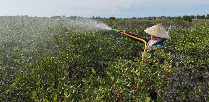 �V�������t�����ܓp�^ ����æ��ϴ��ɫ��ĩ