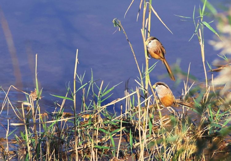 ���B�д���؈�����fȸ�����FȪ��