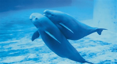  �L������o���һ����