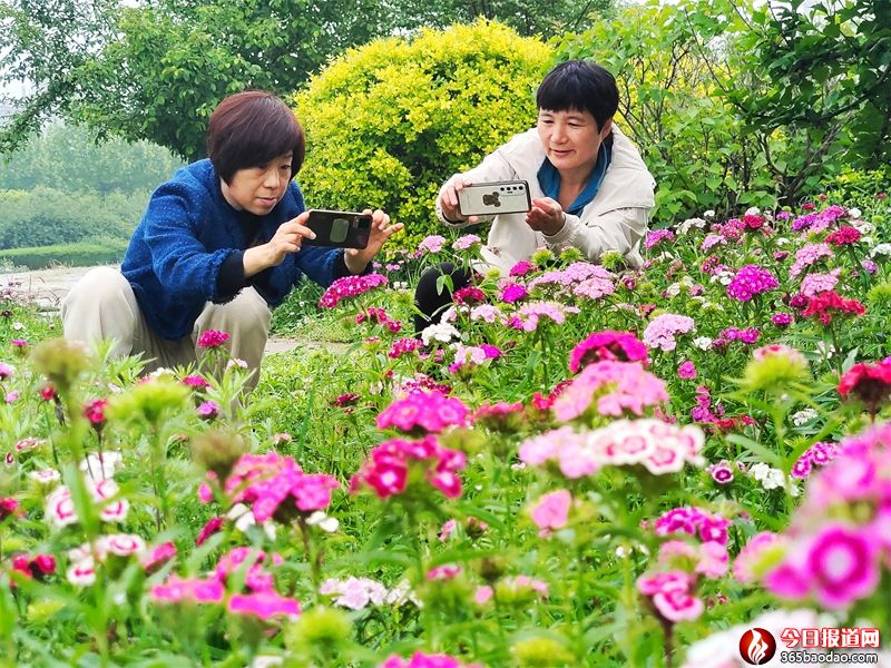 �l�廨�M�@ ����Ҋ����