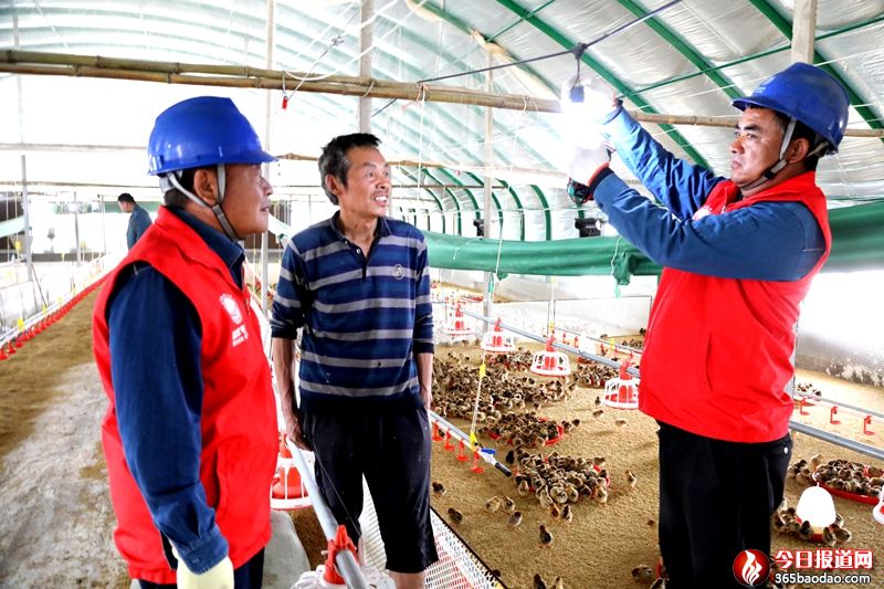 ���W(w��ng)�R�Կh��늹�˾�����������ɫ�a(ch��n)�I(y��)