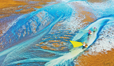 ���m�ƏV���B�����Bֳģʽ �ƄӝO�I�����lչ