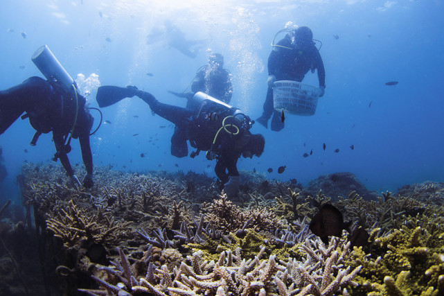 ���u���Ϸ���Խ��Խ�࣬ɺ������rԽ��Խ� �״�ȫ��ɺ�������w�z�����Y(ji��)�����n