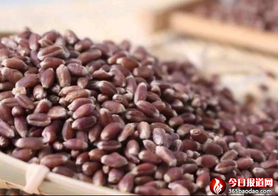 媧城黑小麥酒榮獲周口非遺特產獎 尹程起報道(1)435.png