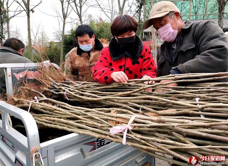  ɽ�|۰�ǣ��������ס�r(n��ng)��ֲ��ᡱ