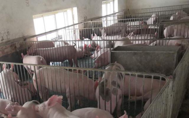 �������i���ڡ����׺Εr�Y�������ҷQ����r���硱