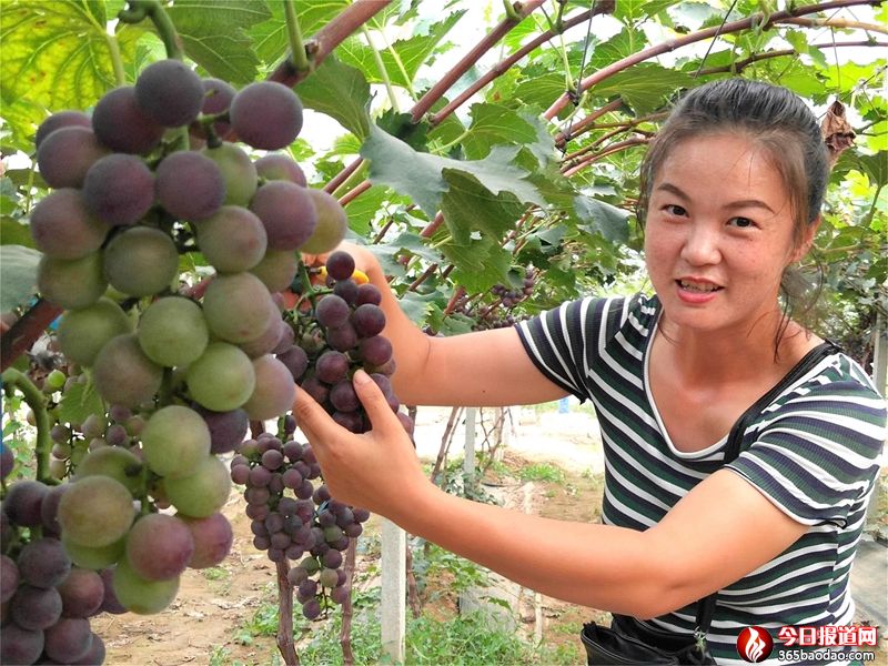 ɽ�|۰�ǣ����ѽ����N�Bģʽ���¾�������