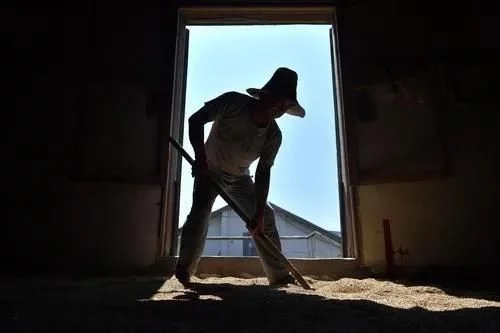 �Z��Zʳ�д����x�ۣ���������