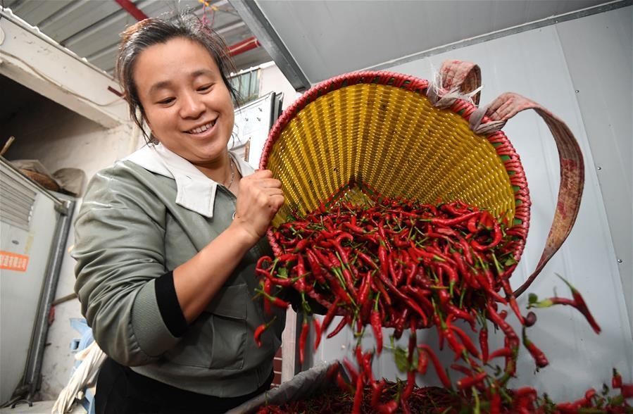 �F�ݲ��ݣ���С���������ɴ�a�I