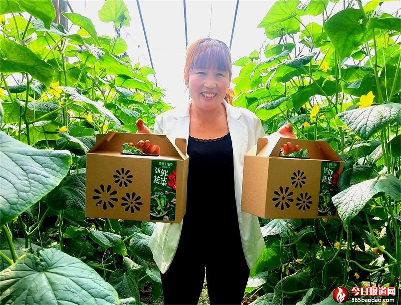  ۰�ǣ�����ؚ����f�����r�߲˹����p�����Ј�