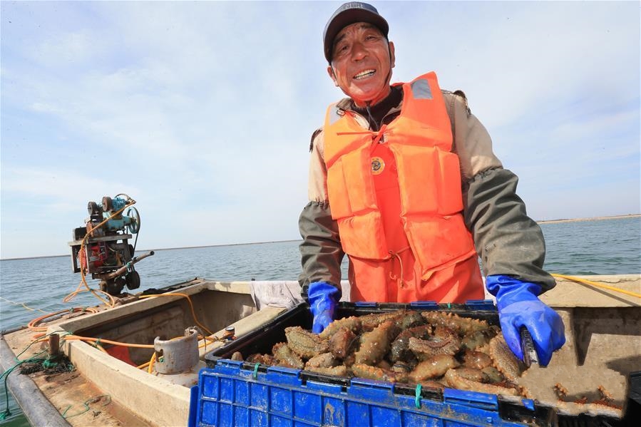 ɽ�|�s�ɣ��ﺣ������æ