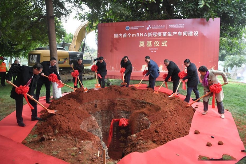 �Ї��ׂ�mRNA�¹��������a܇�g��� һ�ڿ���a1.2�|��