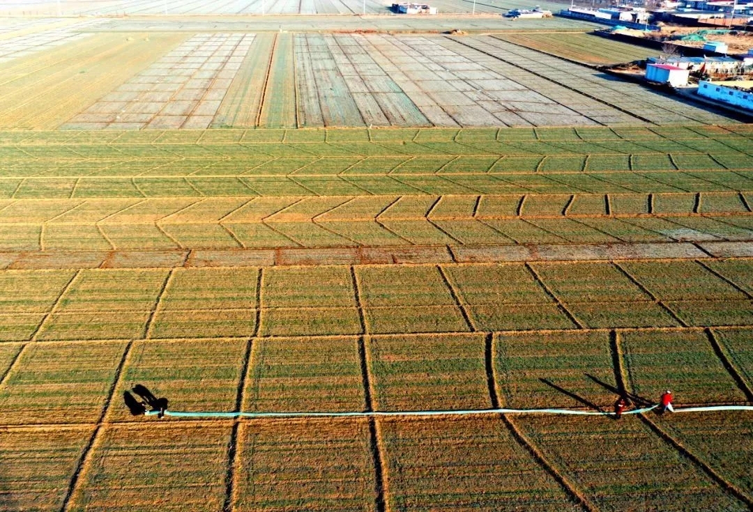 ����20�꣬�Ї��r�I�@Щ���ֵ�ÿ��Y��