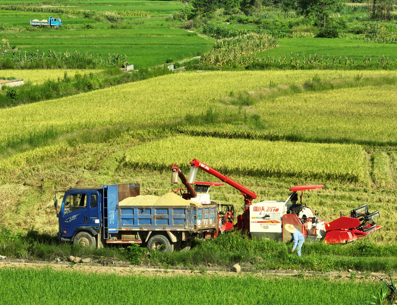 ���ϵ��h���絾�h���ո�æ