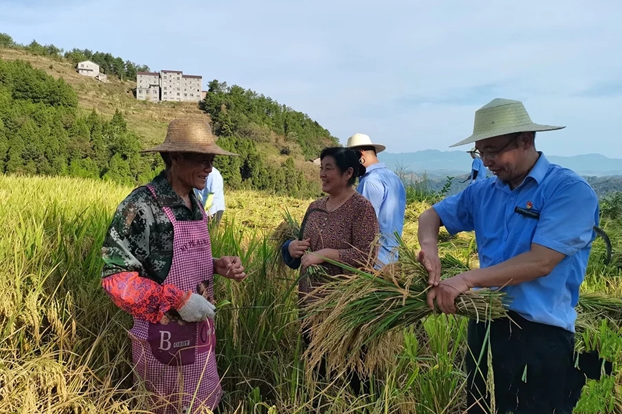 ���Dֱ�����ؑcȫ������������ �_����Z���w���w�}��