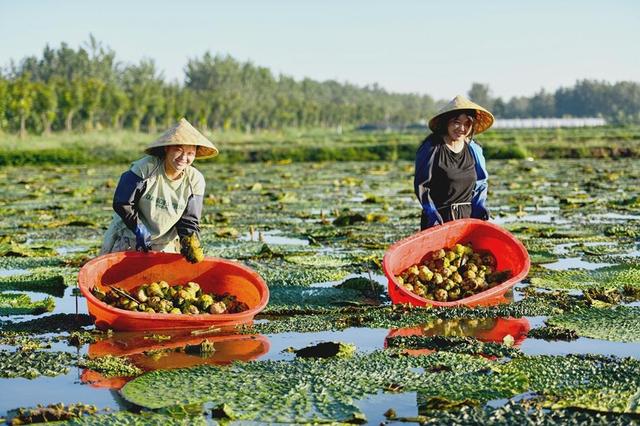 ���K��ꖣ�СС�͌��� �r���¸�����