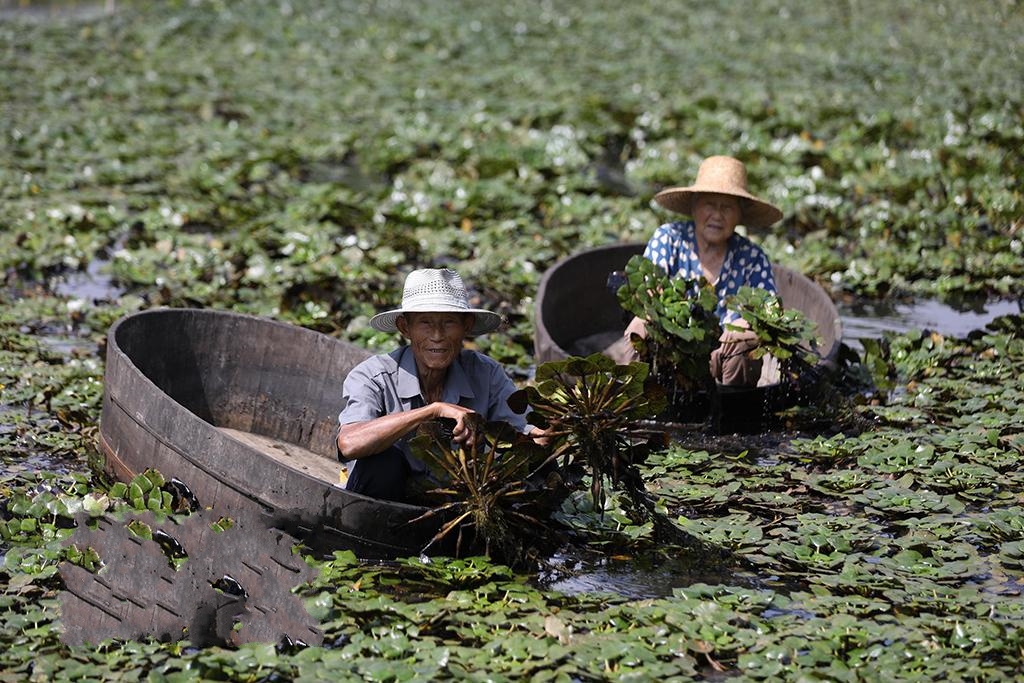 �㽭�L�d��ˮ�l����æ