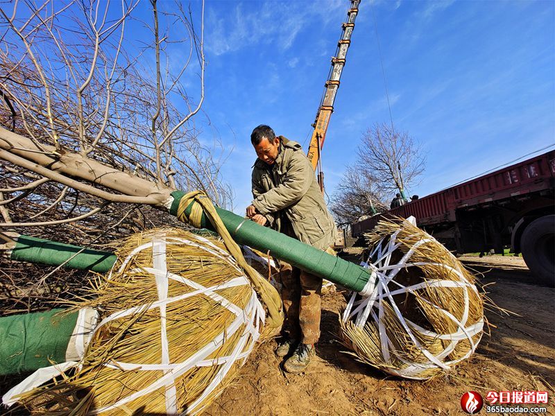 ۰�ǣ���ľ�����˲��� ���ʕr�Cæٍ�X