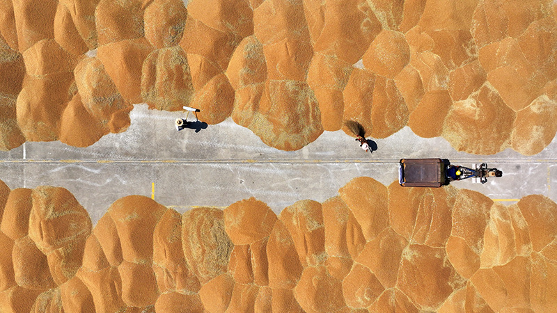 С��?zh��n)ի@ �w���w�}(c��ng)