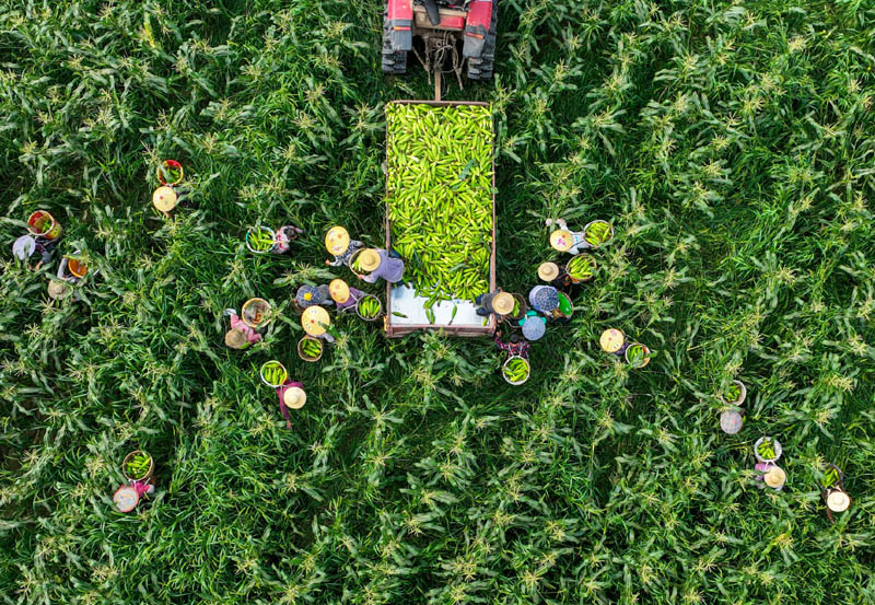 ����ǰ����Ұ