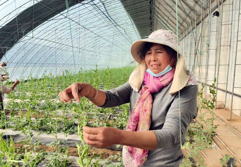 �´��߻���حɽ�|��ꖣ��ǻ۷N��N���������ϡ�